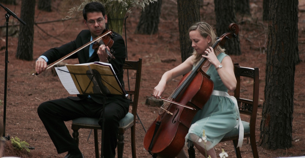 Wedding at Chrissiesmeer